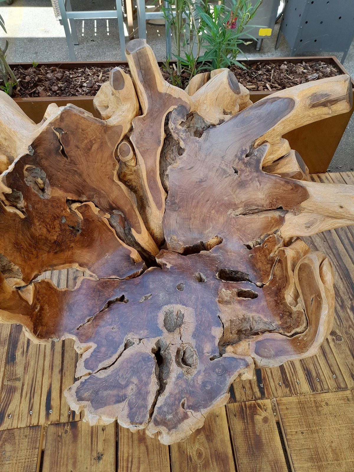 TRONO in legno