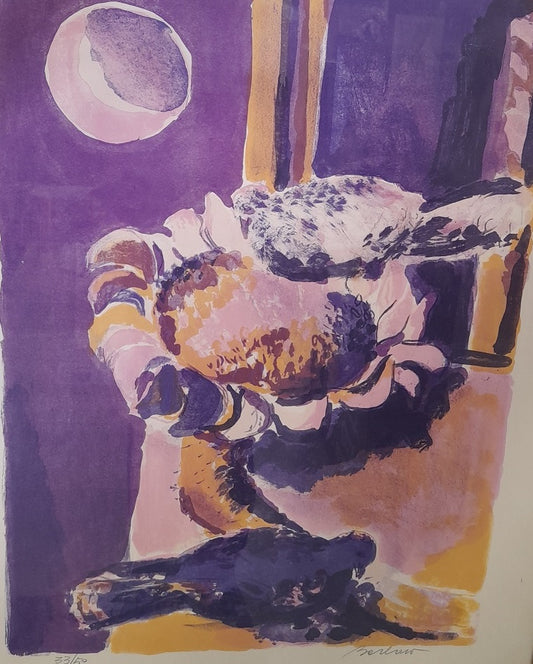 QUADRO Natura notturna