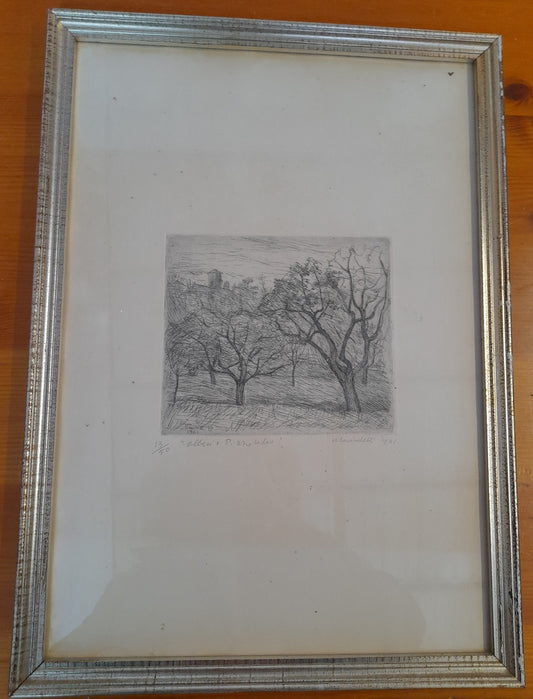 POMPILIO MANDELLI - Alberi a Pizzocalvo