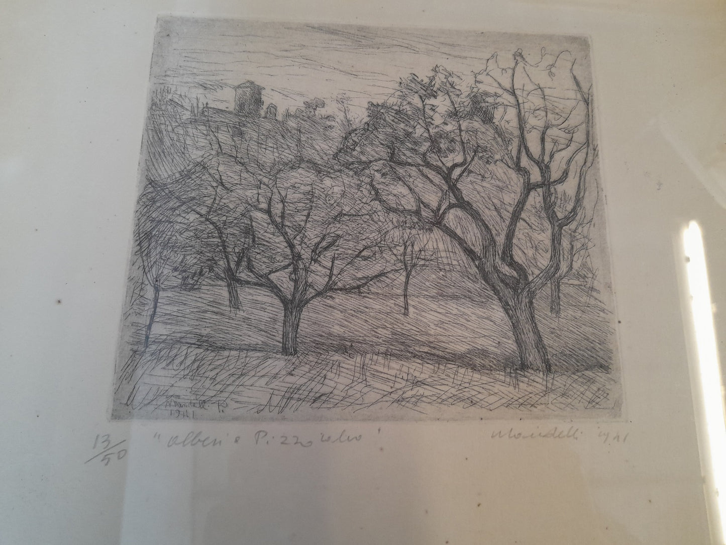 POMPILIO MANDELLI - Alberi a Pizzocalvo
