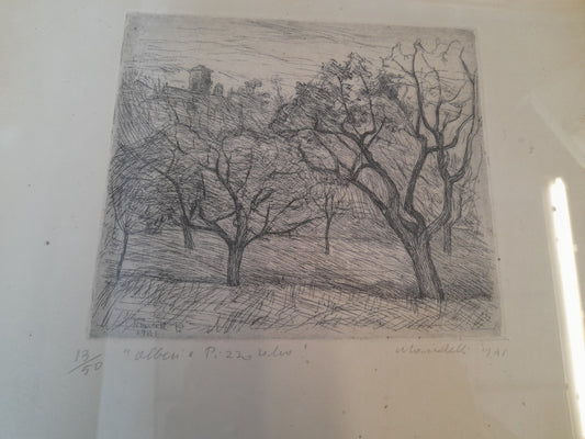 POMPILIO MANDELLI - Alberi a Pizzocalvo