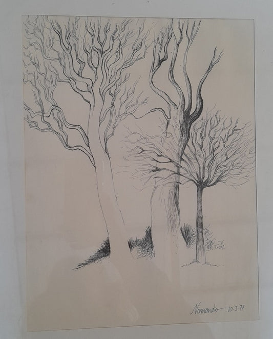 QUADRO Alberi in inverno