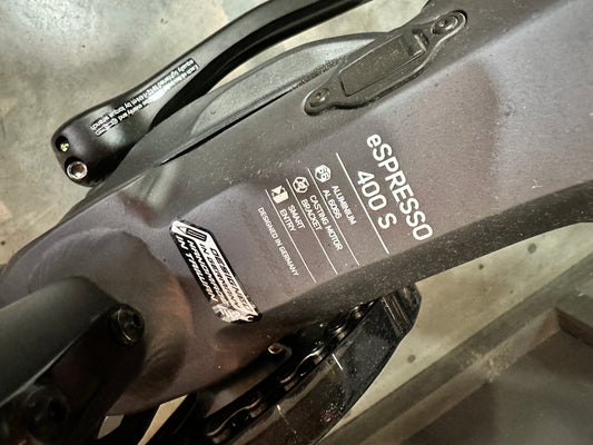 Bicicletta pedalata assistita