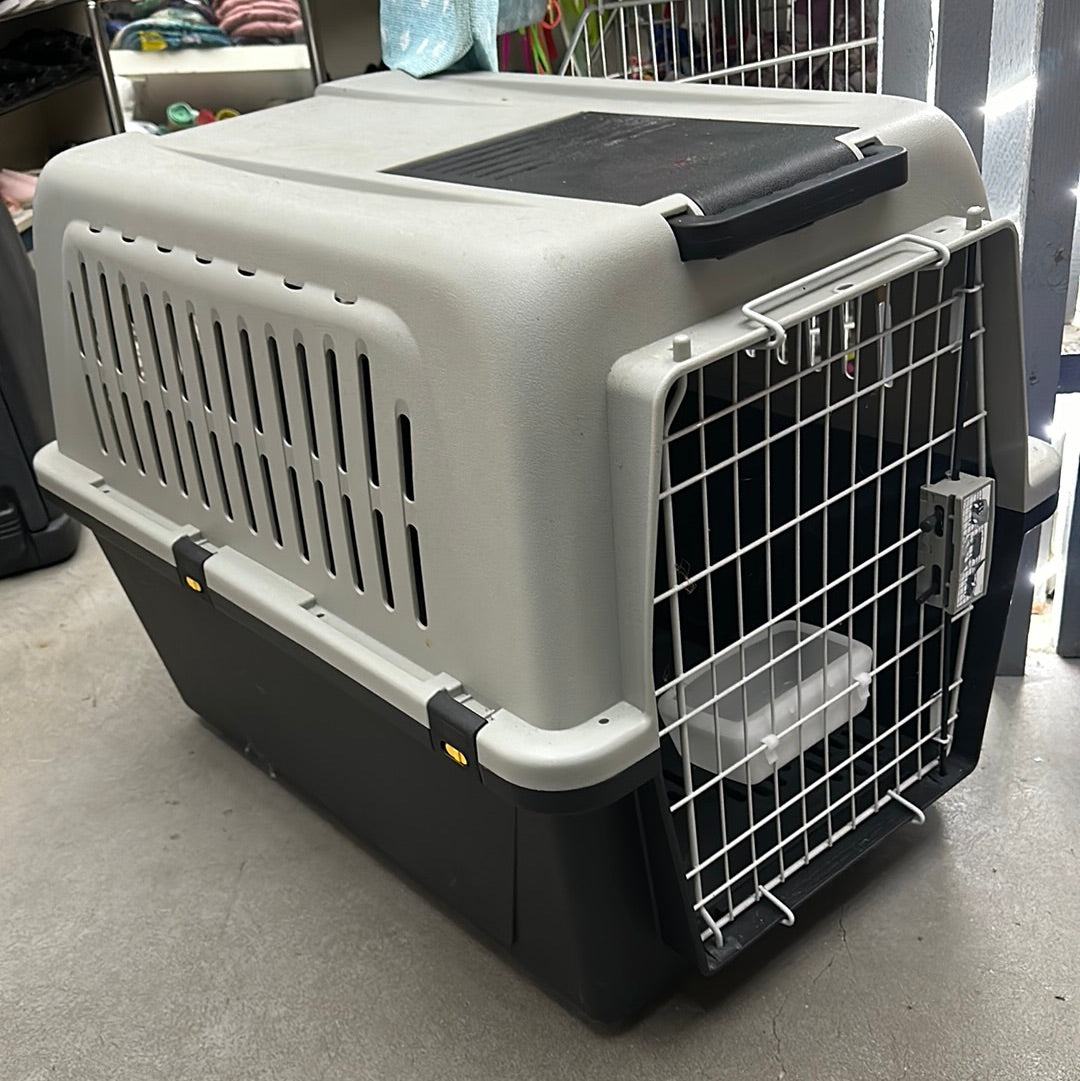 Traportino Cane Taglia Media