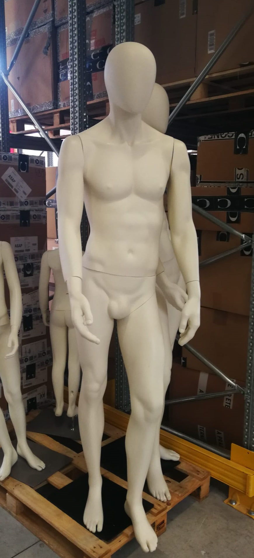 MANECHINO Adulto