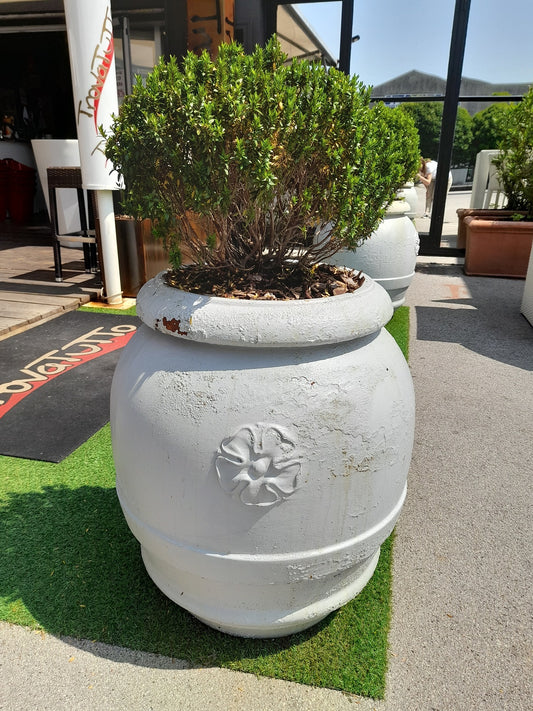 ORCIO Toscano in terracotta