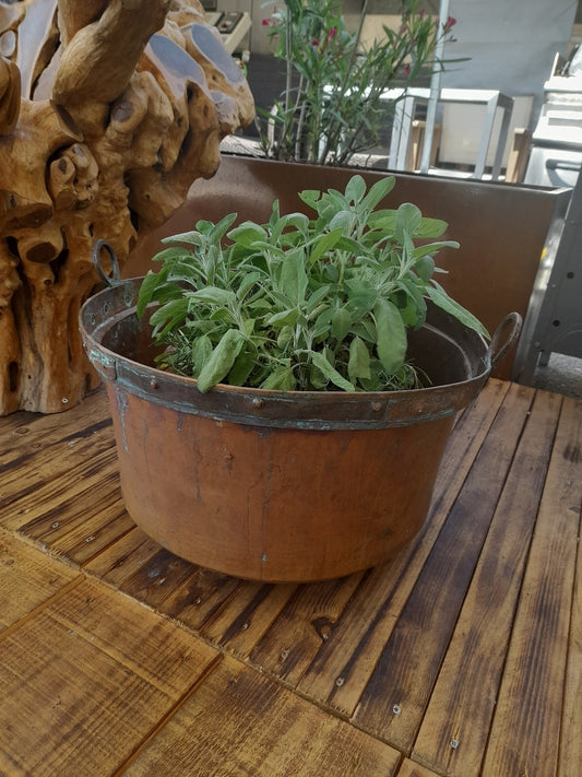 PAIOLO in rame grande