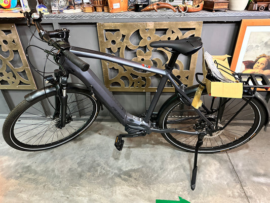 Bicicletta pedalata assistita